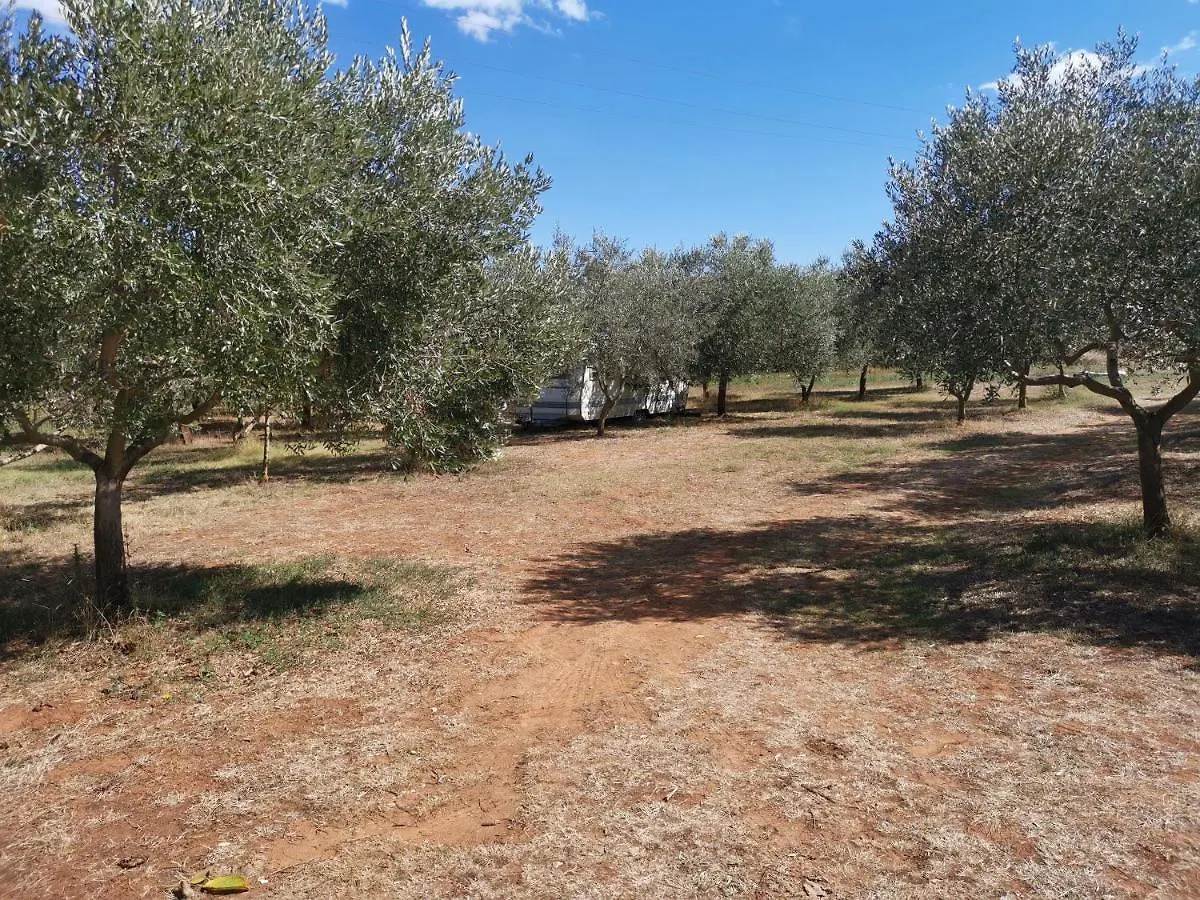 Camper For Two Hotel Banjole Holiday park