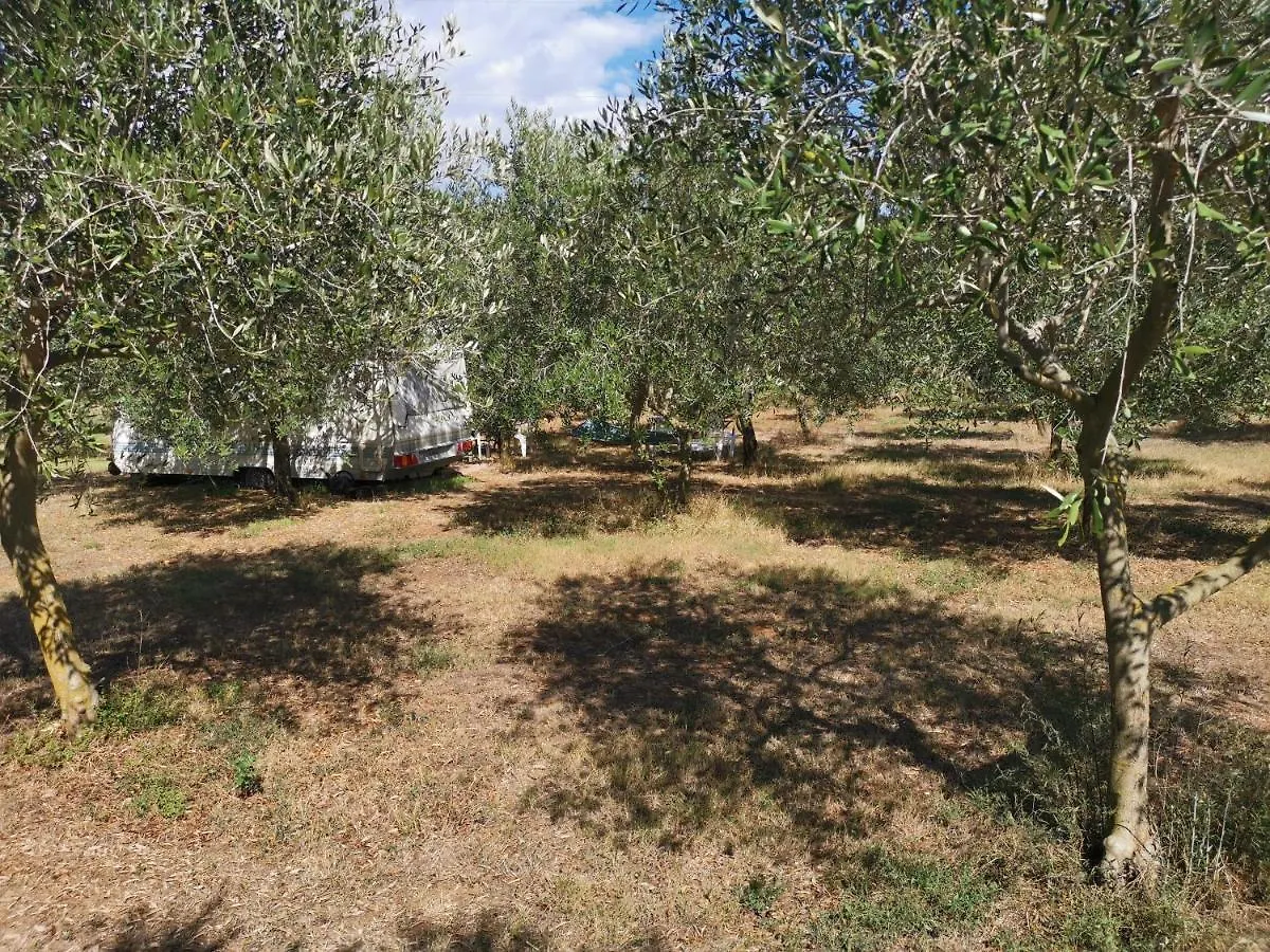 Camper For Two Hotel Banjole Croatia